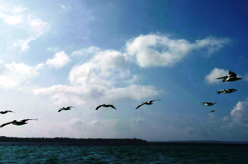 kei-island8