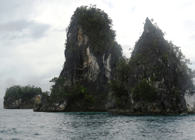 west-papua.jpg